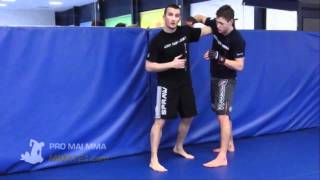 MMA Takedown - Learn Akiyamas Trip Throws