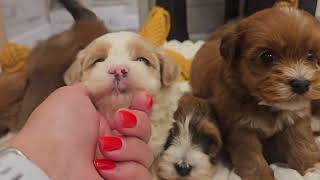 Look At How Big We Are Getting Already!