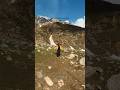 This Nature Therapy Is Everything #travel #photography #love #whether #mountains#foryou#pakistan