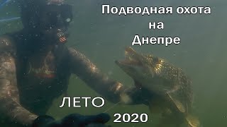 Подводная охота на Днепре,лето 2020