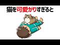 猫好き必見！猫を可愛がりすぎるとどうなる！？【猫の雑学10選】 #雑学 #豆知識 #トリビア