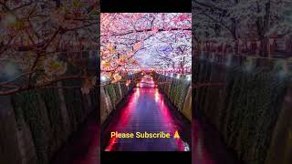 Japan #travel #tokyotower #Sensō-ji Temple#viral #shorts #viralshorts #music #viralvideo #love #song