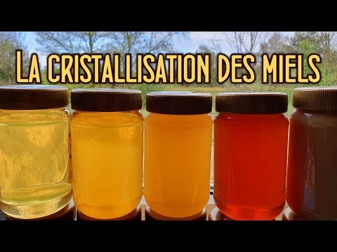 USaA - La cristallisation des miels avec Paul Schweitzer