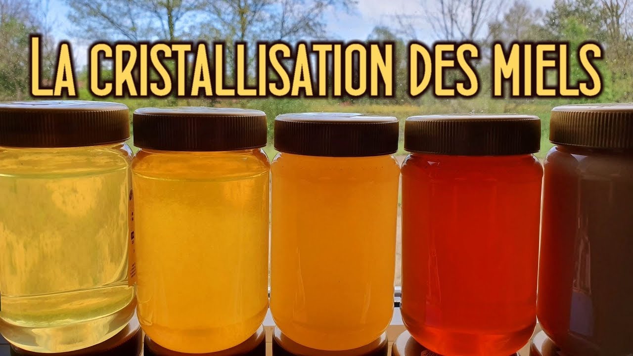 USaA - La cristallisation des miels avec Paul Schweitzer