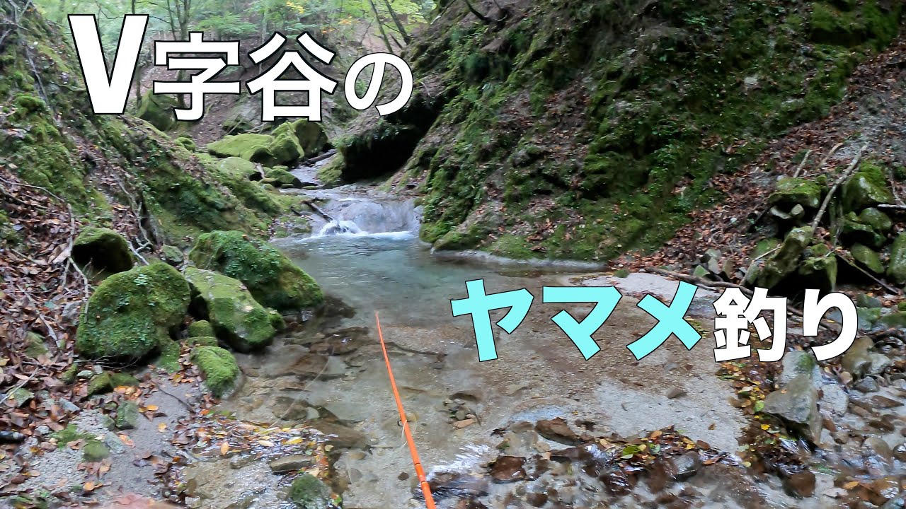 【ショートロッド】V字谷の源流ヤマメ