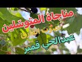 مناجاة المتوس لين بصوت القارئ عبدالحي آل قمبر 