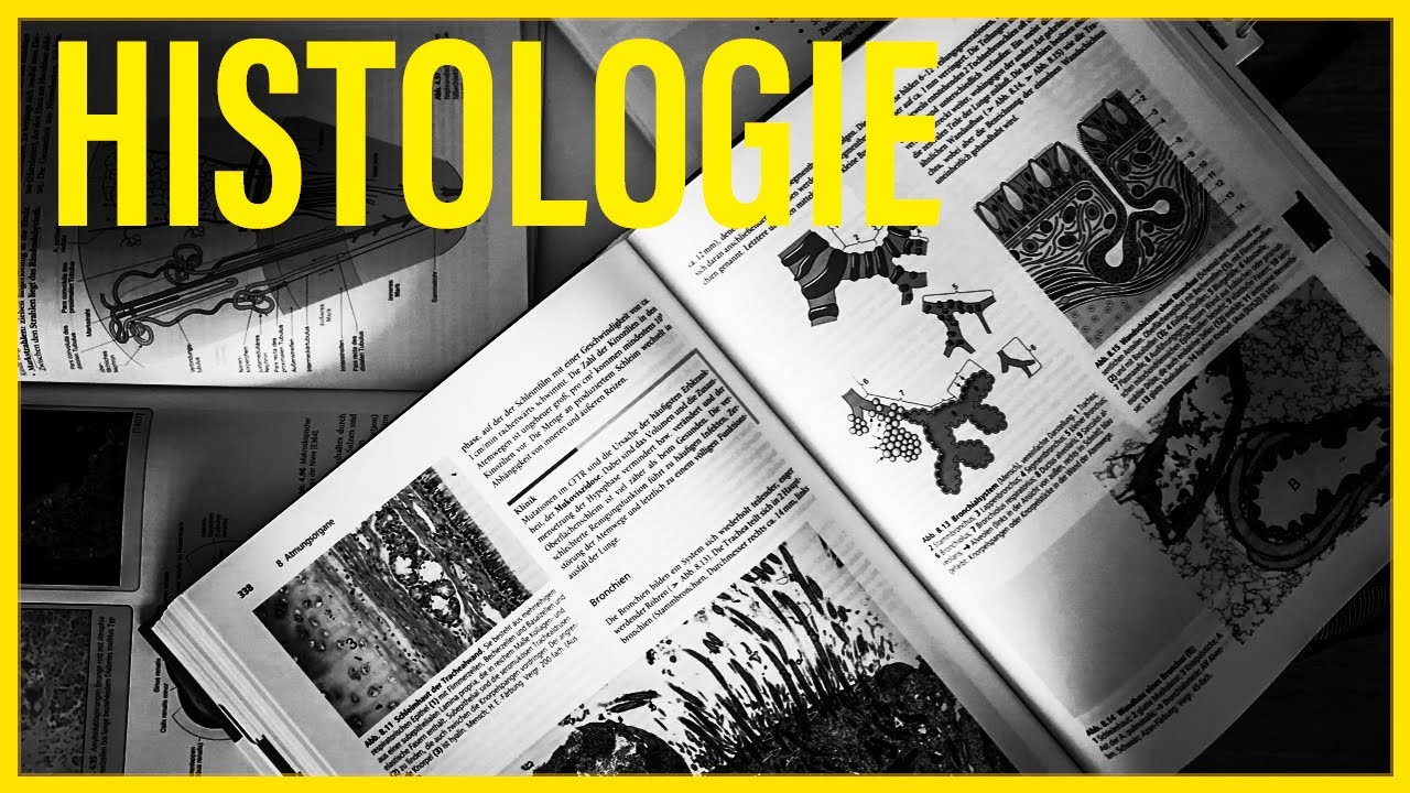 Histologie Bestehen U A In Koln Mikroskopische Anatomie Medizinstudium Youtube