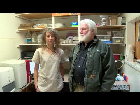 Walk on the Wild Side with KTVL - Meet our Vet!