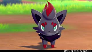 Zorua In Camp - Pokemon Sword & Shield screenshot 2