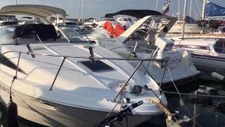 Бизнес-рыбалка в Сочи. Лето 2018