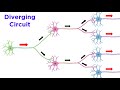 Neural Processing and Circuit Types