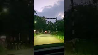 #forestlife #jangal #ghat #travel #tranding #ytshorts #youtubeshorts #forestrain #explore #nature