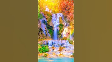 سورة النمل ـ القارئ عبد الرحمن مسعد💛