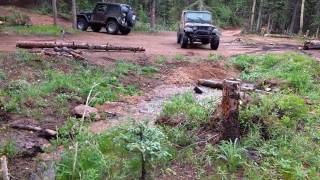 Offroading Old Stage Rd10