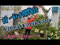 家庭菜園・札幌、、、「キュウリ、モロッコインゲン片づけ」＆「新米ごはん」＆「息子はいつもハンバーグ」