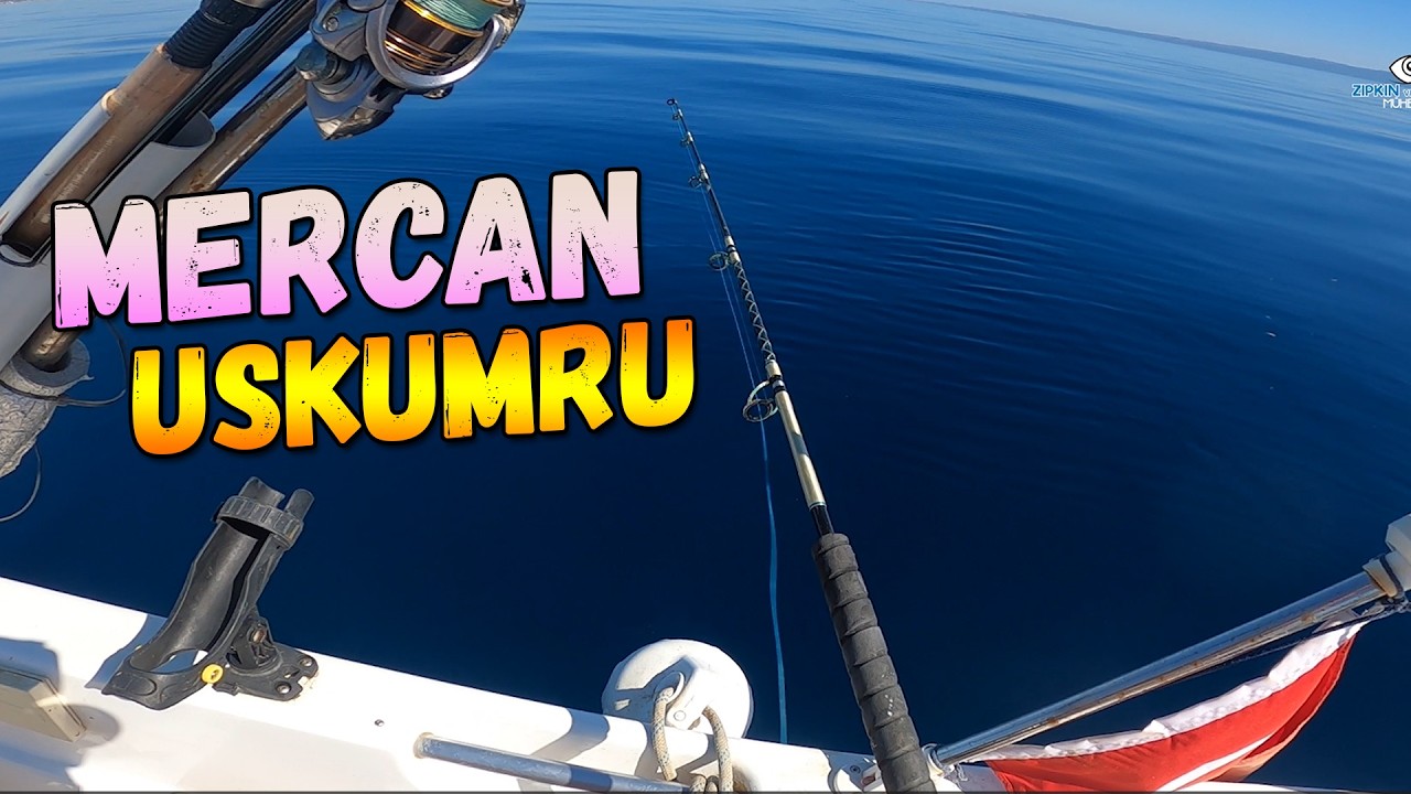 🎣 Mercan Uskumru İstavrit | Erikli | Saros Körfezi #balıkavı #uskumruavı #mercanbalığı