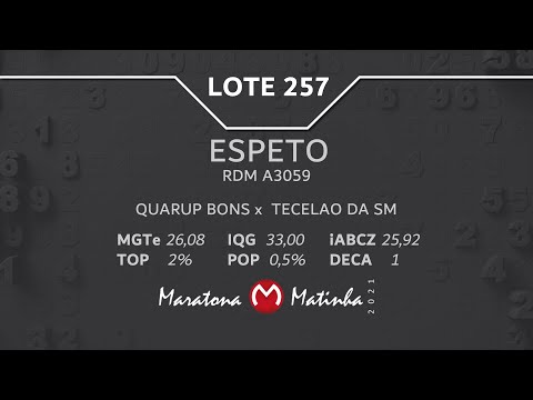 LOTE 257 Maratona Matinha