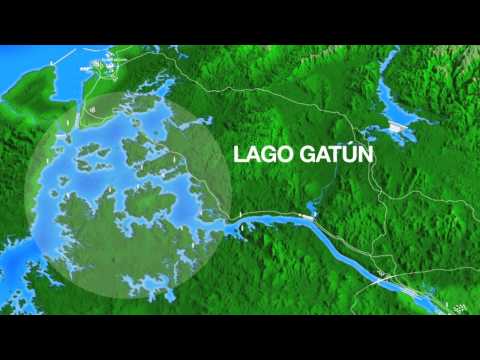 Video: ¿El lago Gatún es agua salada?