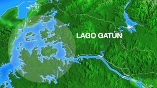 ¡Así son los vertidos en el Canal de Panamá! / Knowing the Panama Canal dams! ¡Así son los vertidos en el Canal de Panamá! / Knowing the Panama Canal dams!