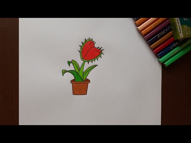 How To Draw A Venus Fly Trap Easy