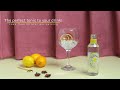 Indian tonic waterlow calorie flavoured drink100natural ingredients international award winning