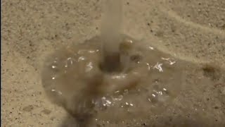 Squeaky Cleaning Testing