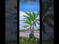 ARNOVA V2.Gcam LMC 8.4 r18.#gcam #gcamlmc #shorts
