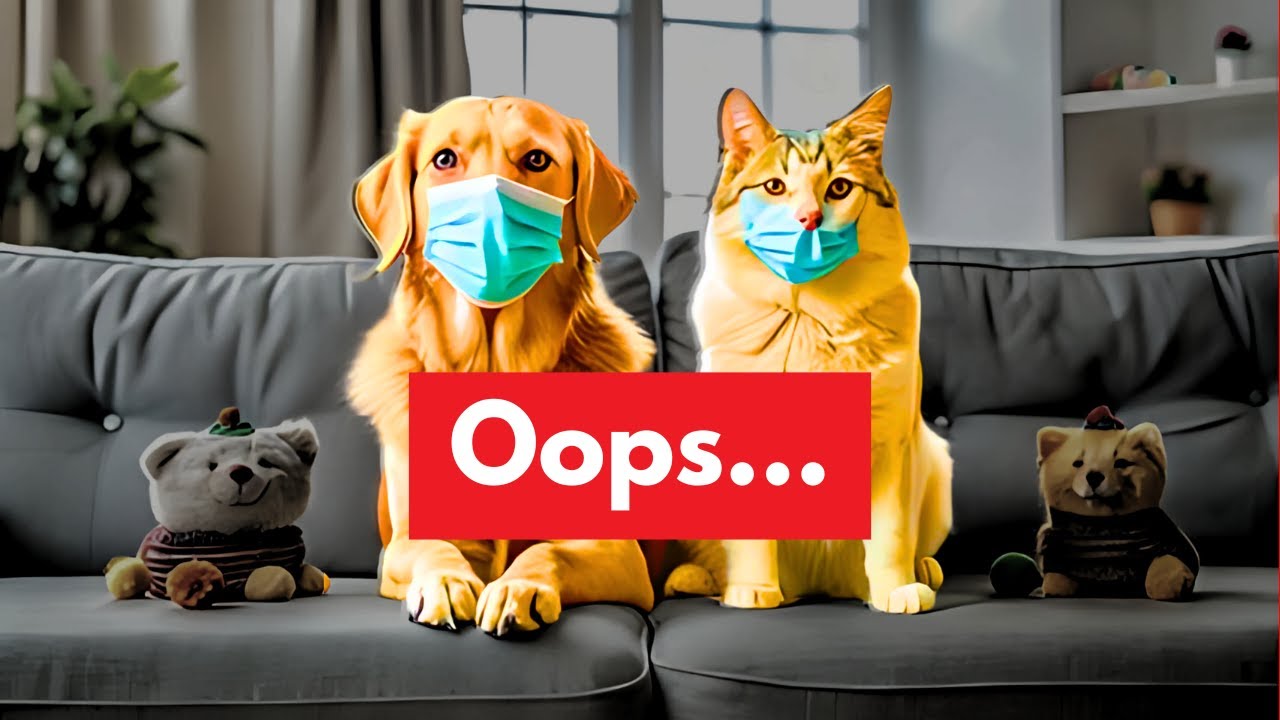 Are Cats And Dogs Behind The Antibiotic Apocalypse?