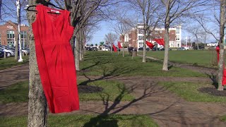 Red dresses: not a fashion statement but reminder of missing and murdered Indigenous women and girls