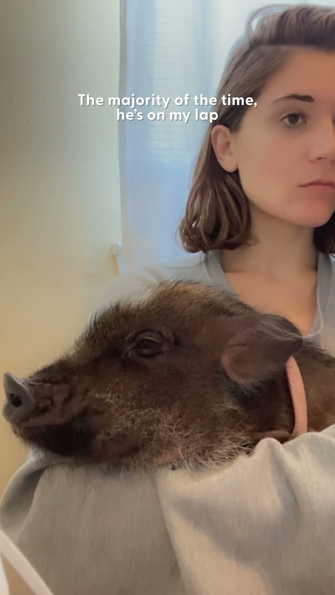 Pig Screams At His Mom To Get What He Wants | The Dodo