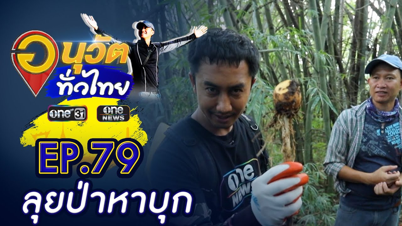 ลุยป่าหาบุก บ้านวังไผ่ จ.เชียงใหม่ | อนุวัตทั่วไทย | EP 79 | ข่าวช่องวัน | one31