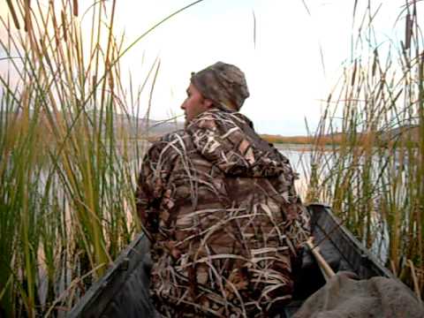 duck hunting at mason valley 