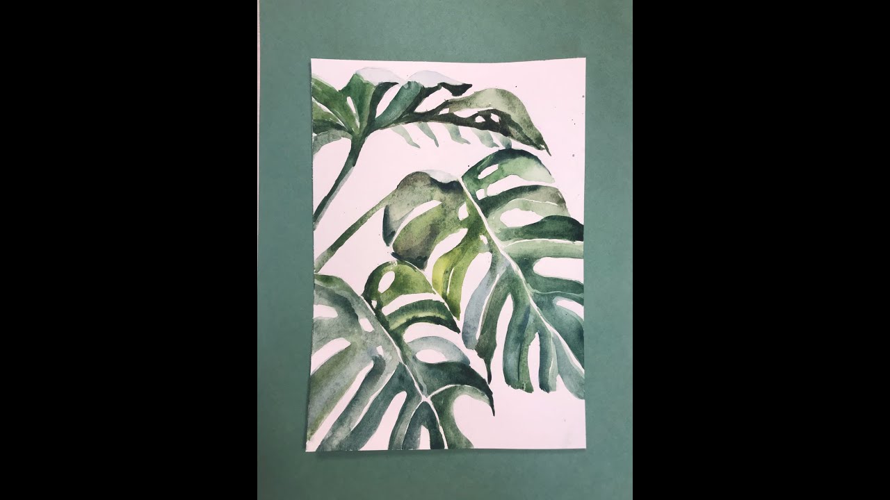 Лист монстеры рисунок акварелью поэтапно