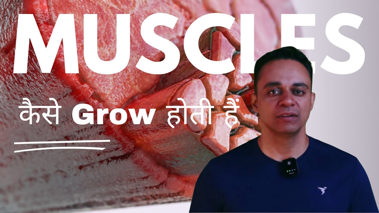 How your Muscles Grow - YouTube