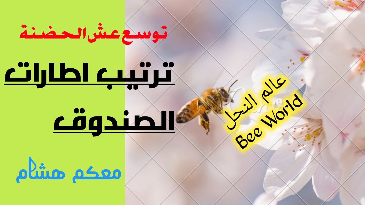 ترتيب اطارات الخلية للتحفيز على وضع البيص
