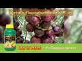 VIO 17 PLUS - ความลับของการเก็บเกี่ยวที่อุดมสมบูรณ์