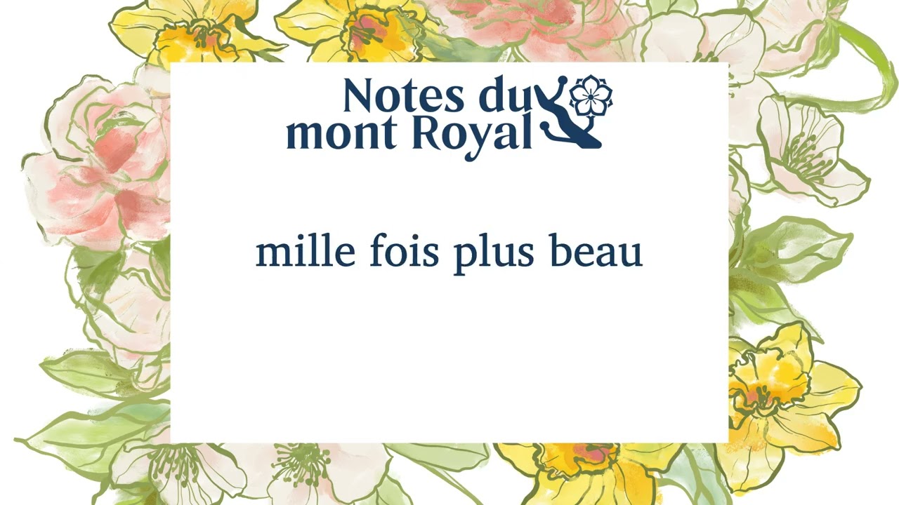 La Voix multiple du peuple : Le Chant de la fidèle Chunhyang