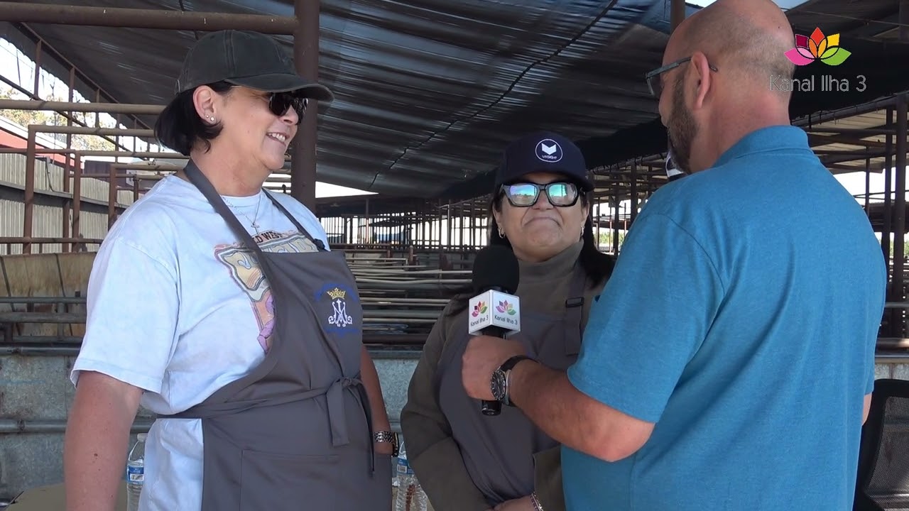 RECOLHA DO GADO P´RA FESTA DA SRª ROSÁRIO EM HILMAR 2025