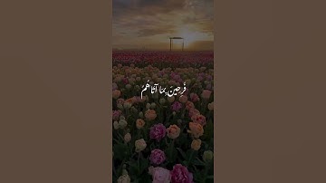 القران الكريم #اكسبلور #اكسبلور_explore #القرآن_الكريم #تيك_توك #الرحمن #المصحف #لايك #explore