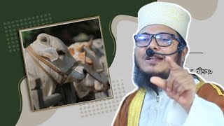 কুরবানীর পর আমাদের যে কাজ গুলো করনীয় | Mawlana Mopijul Islam Chadpuri