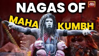 Understand All About Naga Saints Of Maha Kumbh Amrit Snaan Kumbh Mela 2025 Prayagraj