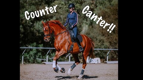 The Counter Canter