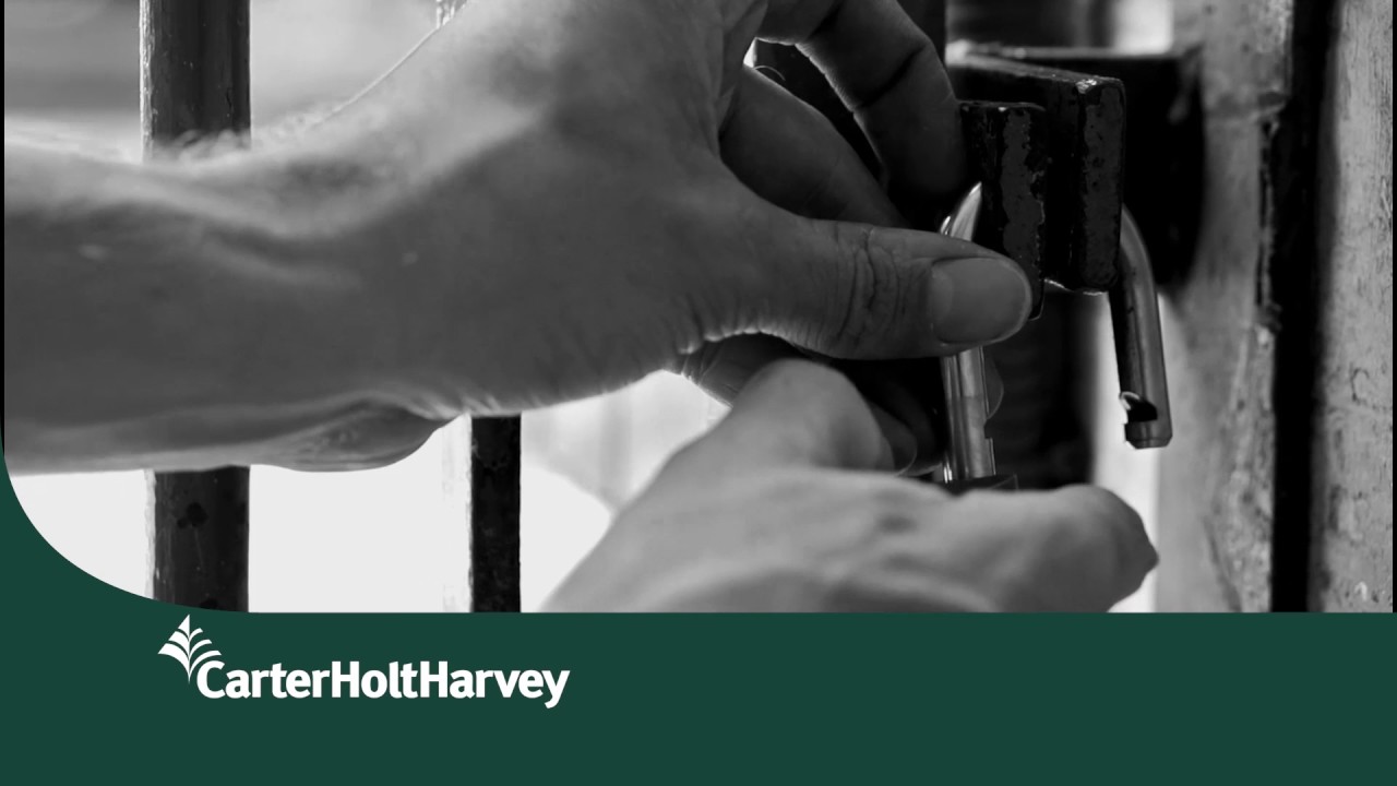 Carter Holt Harvey - Unlock The Gates - YouTube