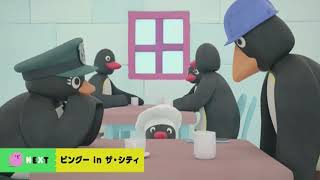 Cartoonito Japan Next Bumper Pingu In The City 2022