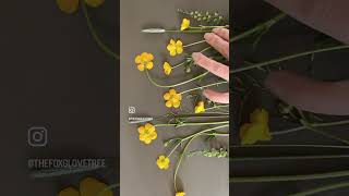 Plaster casting buttercups #botanical #craftvideos #basrelief #buttercup #plasterart #flowercraft