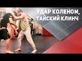 Техника ударов: удар коленом, тайский клинч [Спортивный Бро]