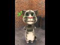 Talking tom singing shawy