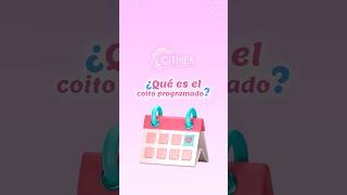 qu Es El Coito Programado Y Cmo Puede Ayudarte A Lograr El Embarazo