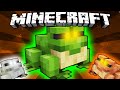 How The Frog was Added to Minecraft