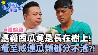 嘉義的西瓜竟是長在樹上？！董至成連瓜類品種都分不清！【@請問 今晚住誰家 】體驗篇 20201007 EP243 Part3 竇智孔 董至成 舞陽 賈斯汀